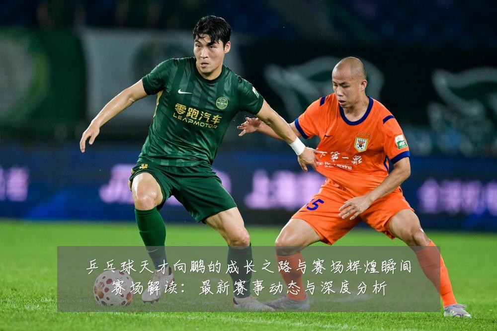 乒乓球天才向鹏的成长之路与赛场辉煌瞬间赛场解读:最新赛事动态与深度分析